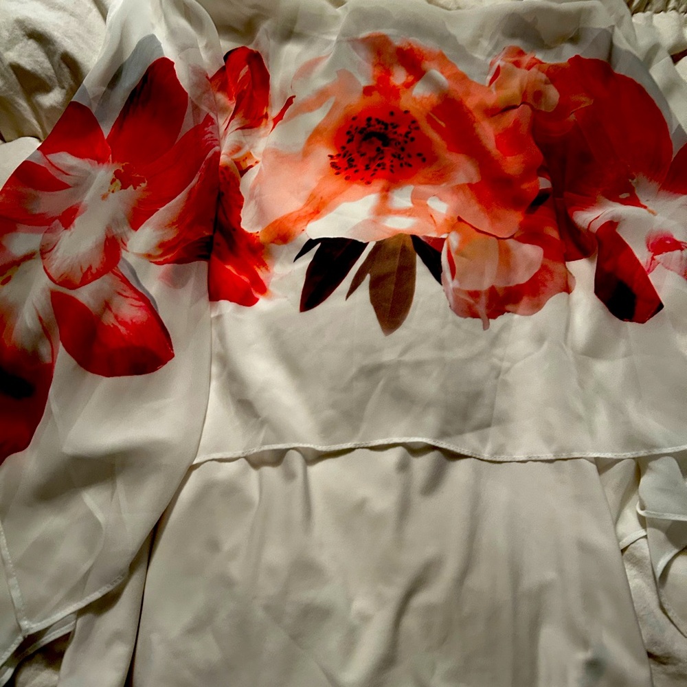 Beautiful blouse with tes roses
